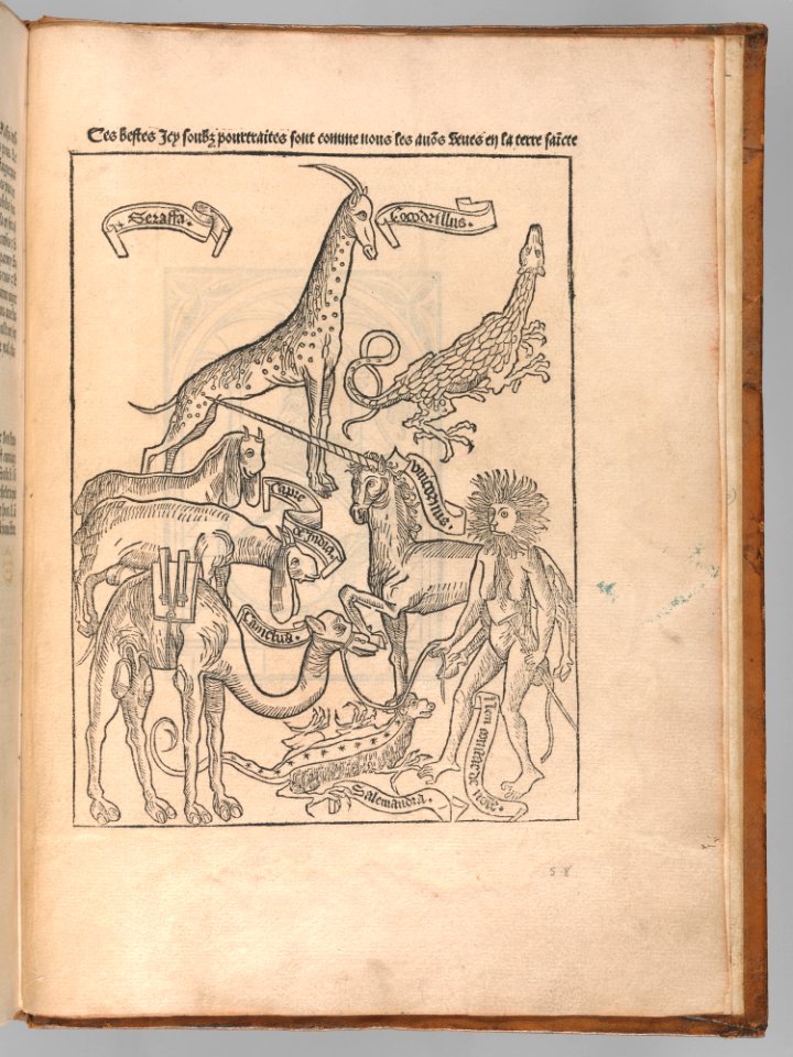 La Peregrination en Terre Sainte (Pilgrimage to the Holy Land) MET DP-602-001