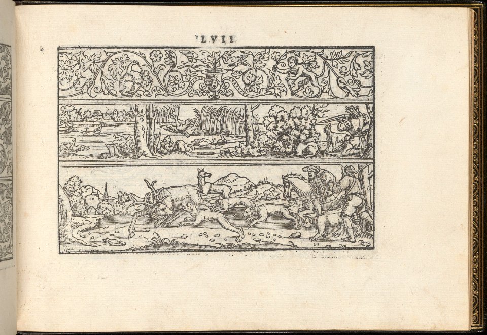 La Vera Perfettione del Disegno di varie sorti di recami, page 29 (recto) MET DP362004