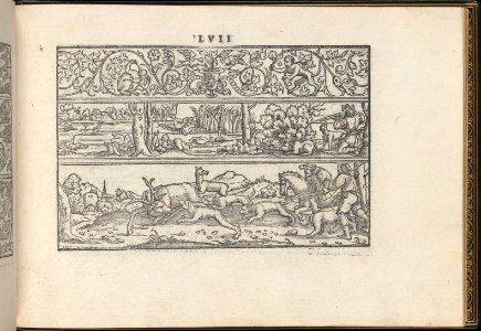 La Vera Perfettione del Disegno di varie sorti di recami, page 29 (recto) MET DP362004