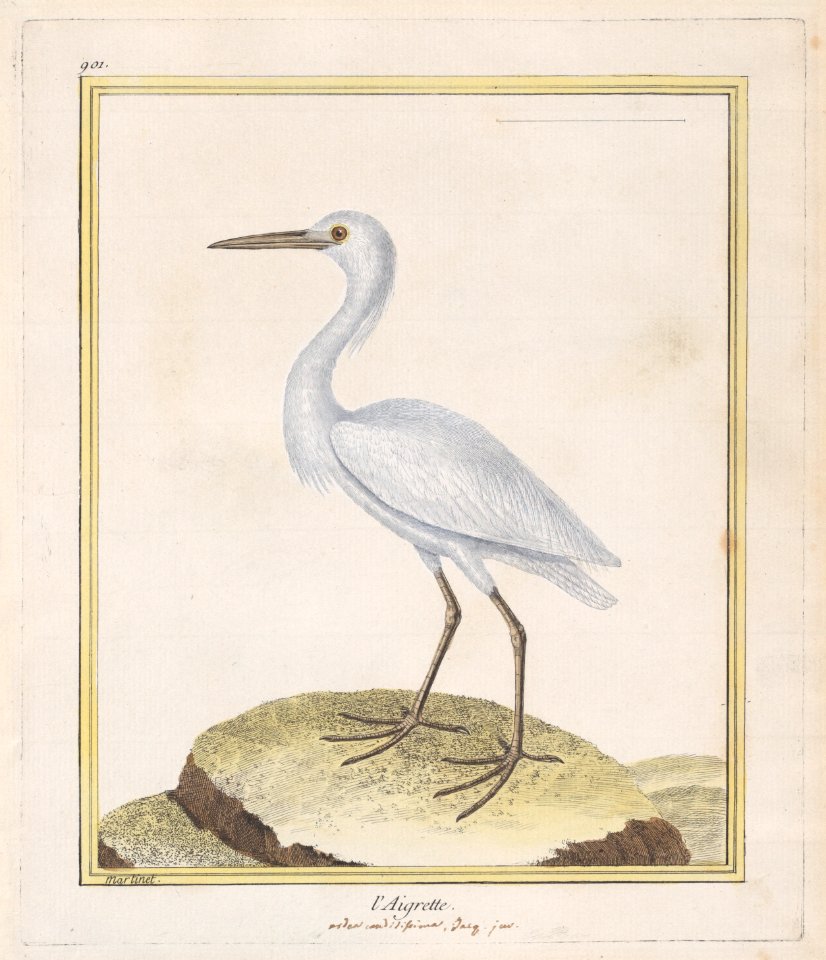 L'Aigrette (Egret) Met DP887749