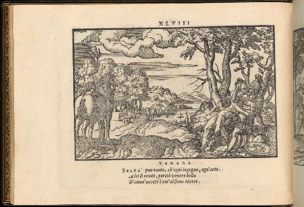 La Vera Perfettione del Disegno di varie sorti di recami, page 24 (verso) MET DP361994