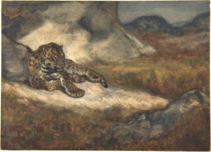 Leopard Lying Down MET DP805135