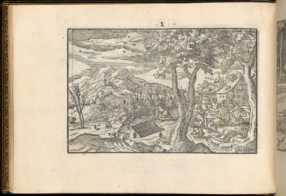 La Vera Perfettione del Disegno di varie sorti di recami, page 25 (verso) MET DP361996