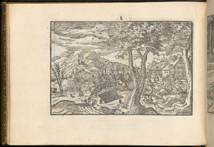 La Vera Perfettione del Disegno di varie sorti di recami, page 25 (verso) MET DP361996