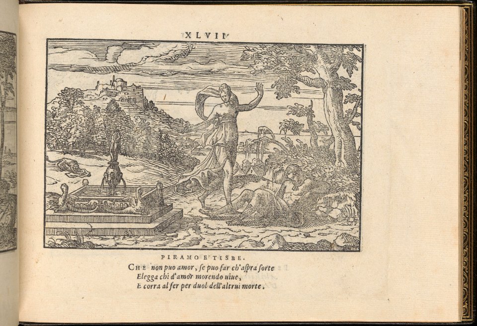 La Vera Perfettione del Disegno di varie sorti di recami, page 24 (recto) MET DP361993