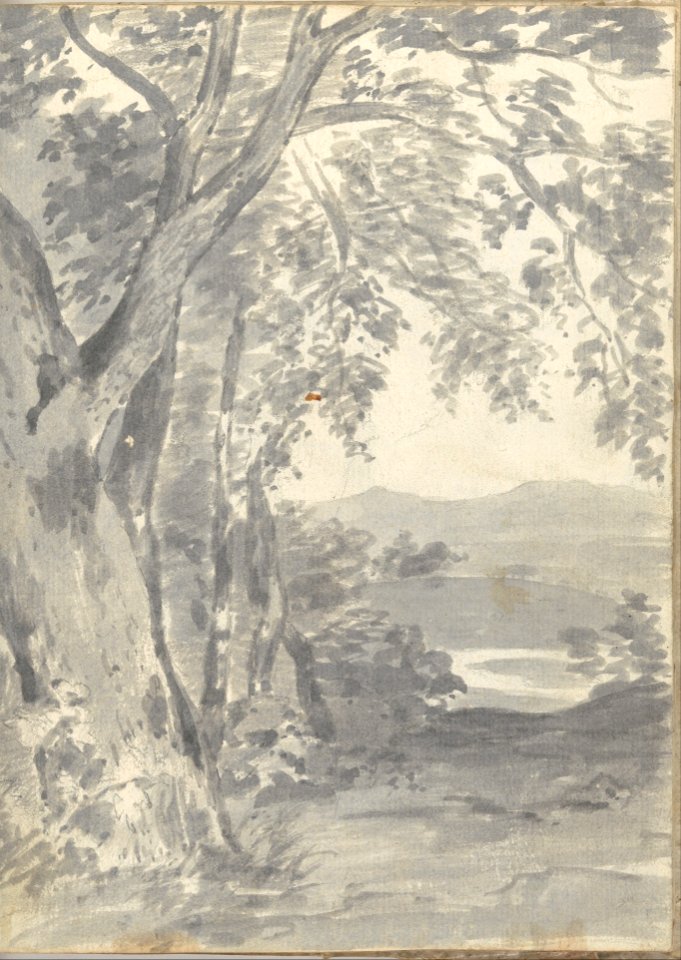 Landscape with Trees and Distant Hills (Smaller Italian Sketchbook, leaf 37 recto) MET DP269445