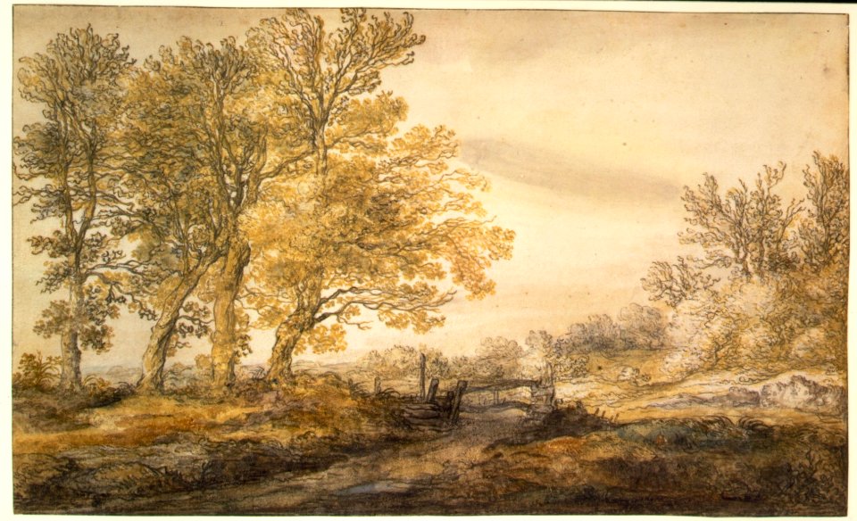 Landscape with Trees MET DR310