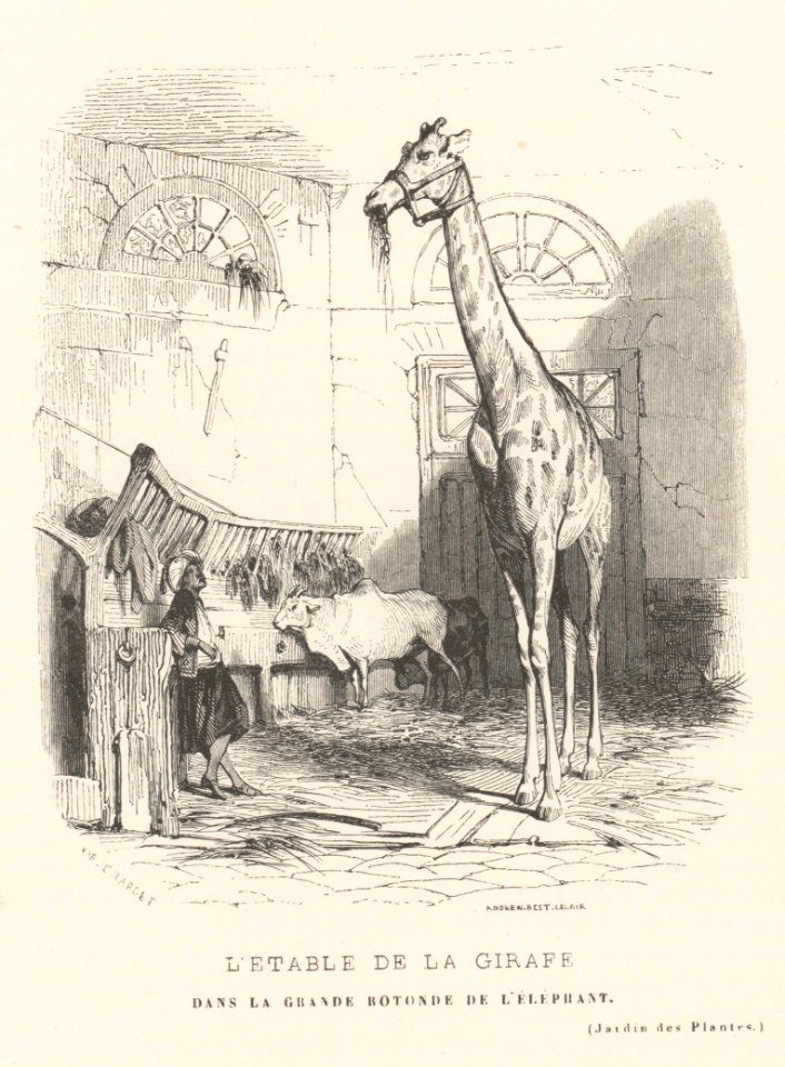 Le Jardin des Plantes, Descriptions et Moeurs des Mammiferes MET DP165292