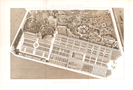 Le Jardin des Plantes, Descriptions et Moeurs des Mammiferes MET DP165291
