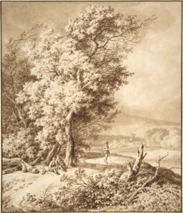Landscape with Wayfarers MET DP810288