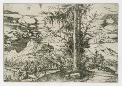 Landscape with a Double Spruce in the Foreground MET DT3659