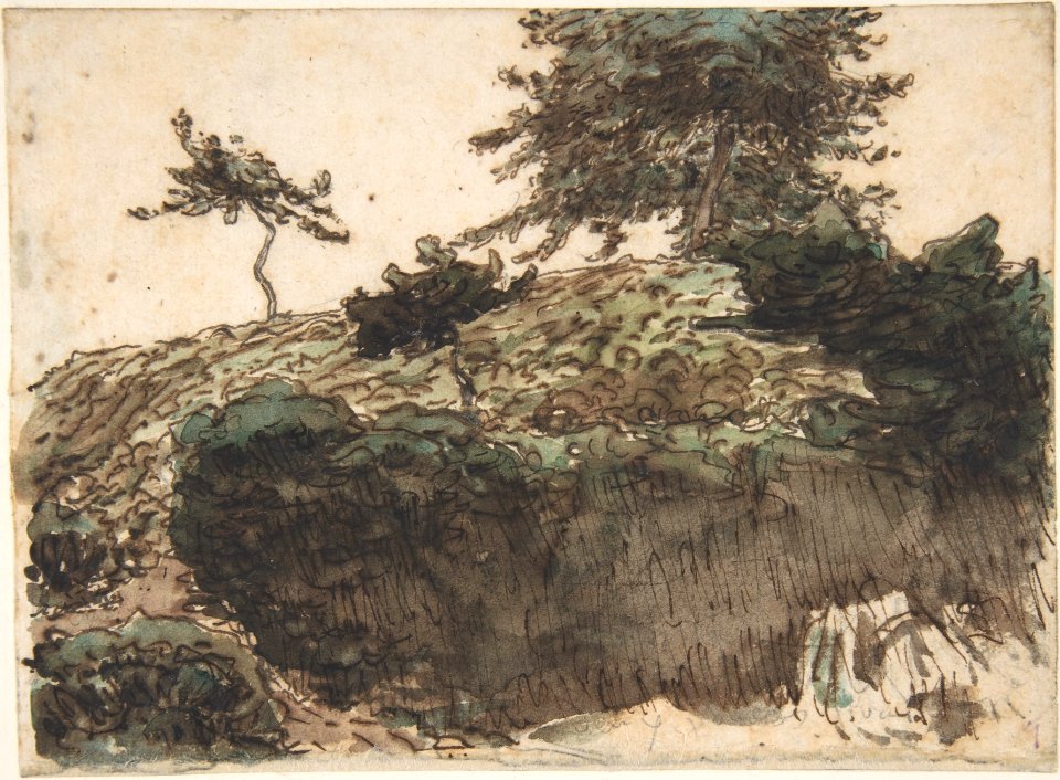 Landscape, Vichy MET DP807726