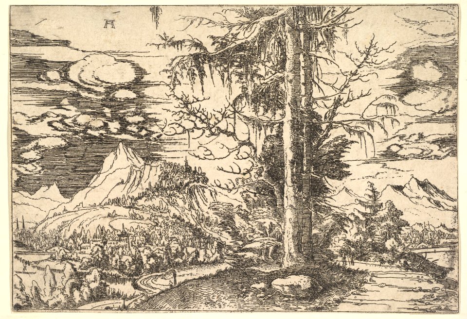 Landscape with a Double Spruce in the Foreground MET DP822181
