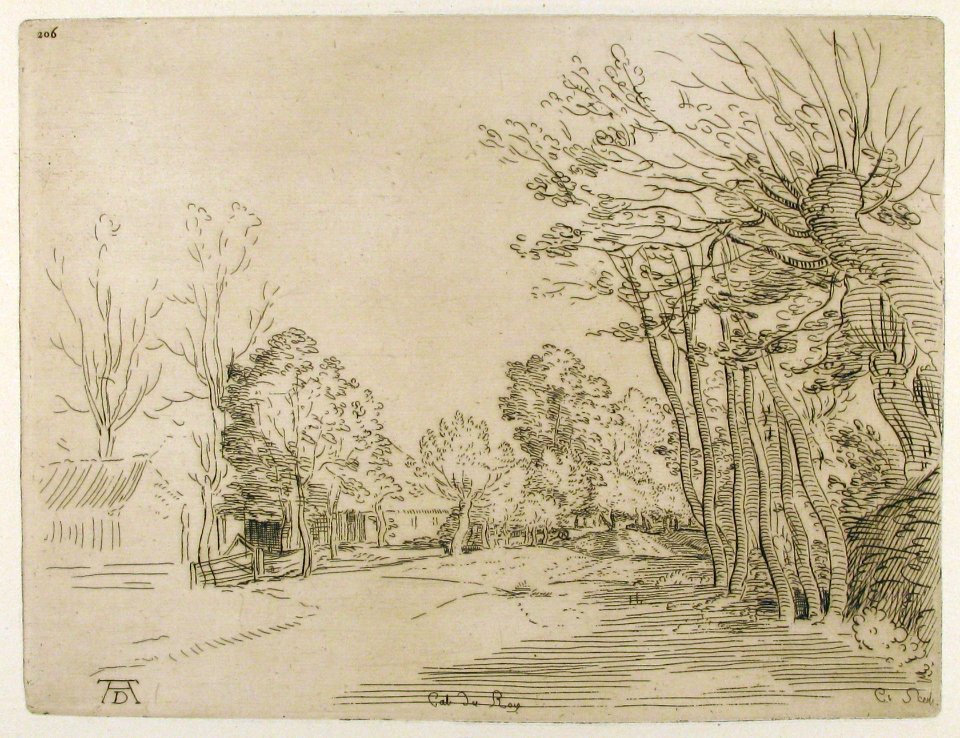 Landscape after Durer MET 24.63.1787