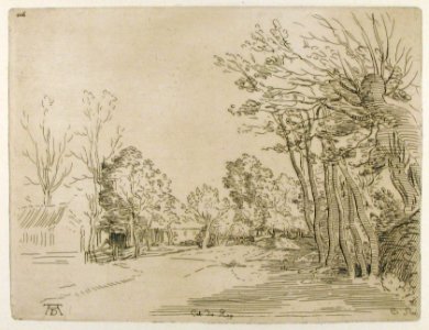 Landscape after Durer MET 24.63.1787