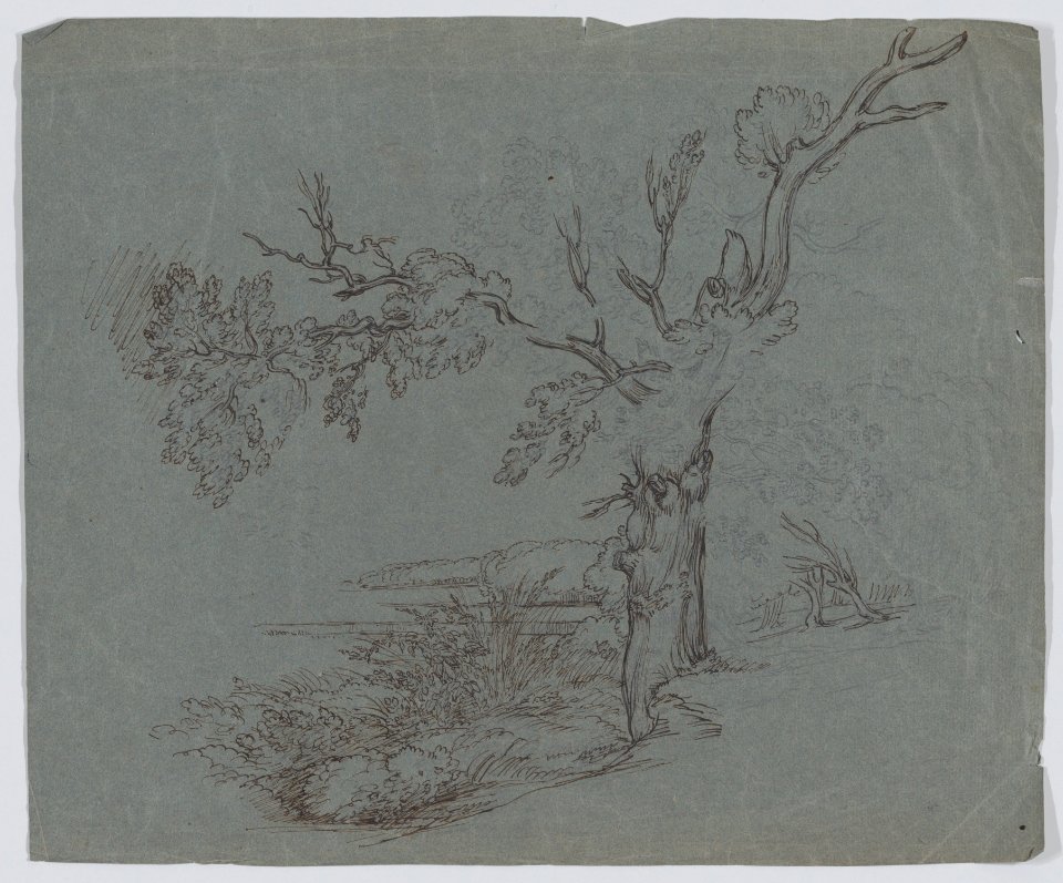 Landscape with a Tree in the Foreground MET DP873525
