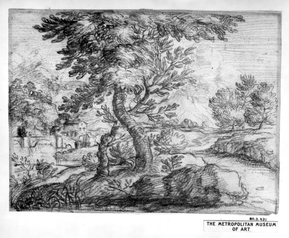 Landscape MET 41403