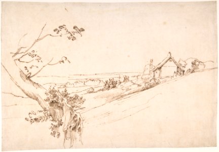 Landscape with a Gnarled Tree and a Farm MET DP802088