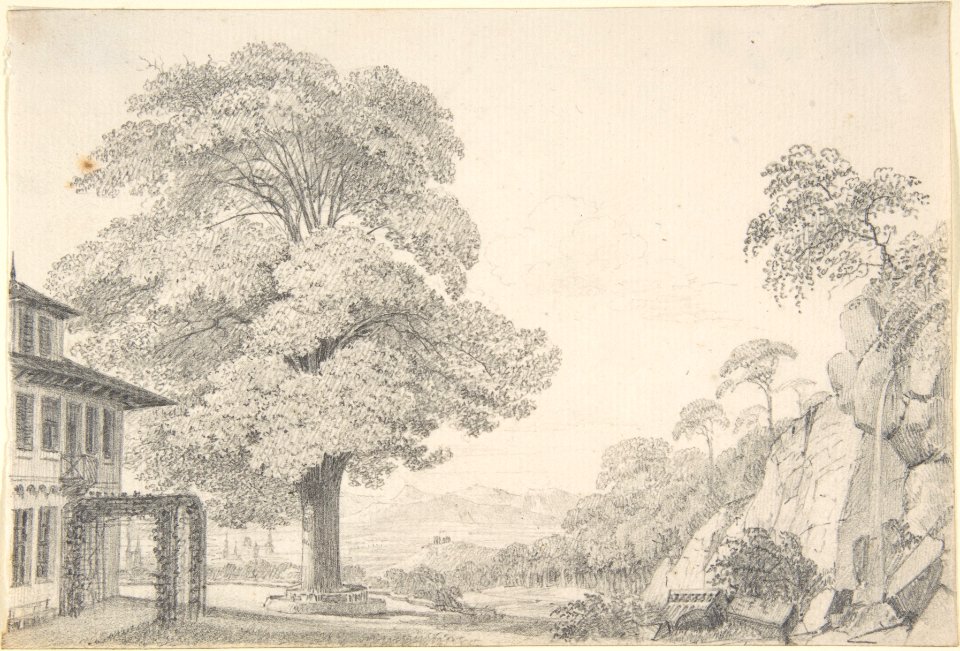 Landscape with a Tree in front of a Villa MET DP803801