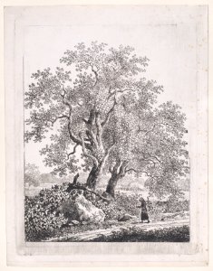 Landscape with a Strolling Woman Met DP891282