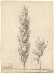 Landscape with a Poplar and a Willow Tree at the Edge of a Pond MET DP209112