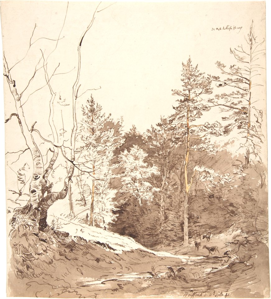 Landscape with cattle in Weißbach on the Rhön MET DP804702