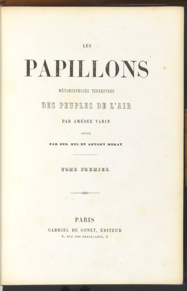Les Papillons- Métamorphoses terrestres des peuples de l'air MET DP210533