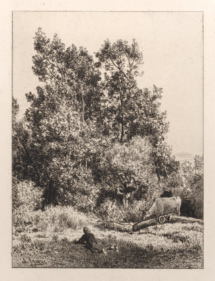 Landscape Met DP887005