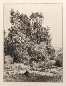 Landscape Met DP887005