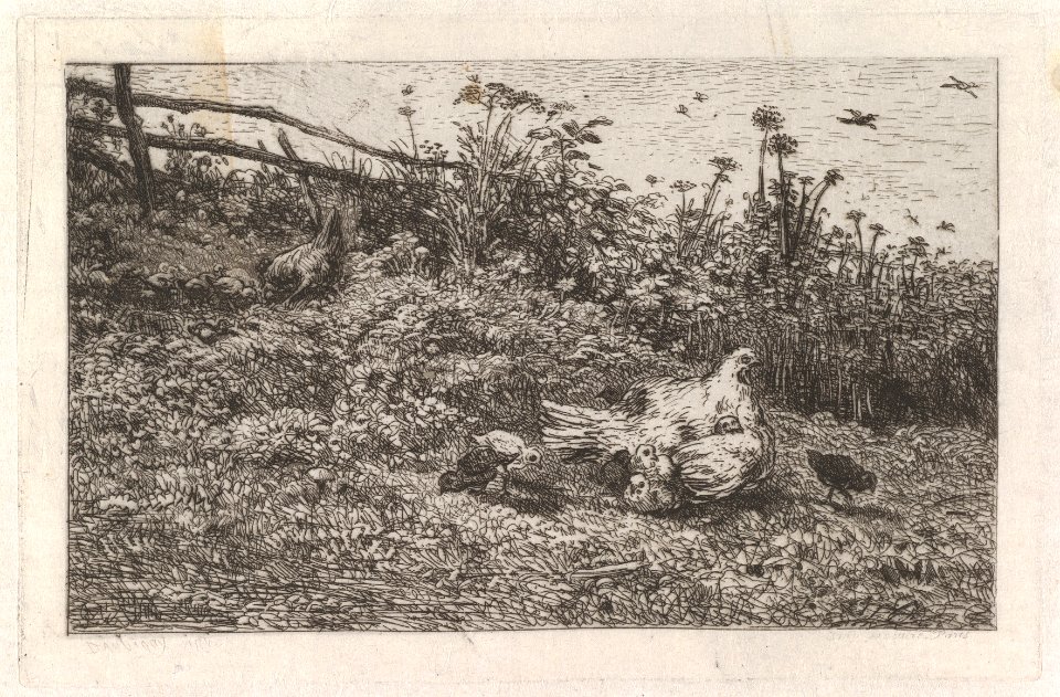 Le Poule et ses Poussins MET DP830219