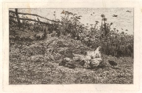 Le Poule et ses Poussins MET DP830219