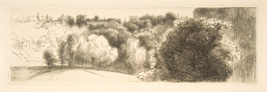 Landscape Study MET DP814129