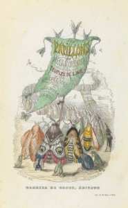Les Papillons- Métamorphoses terrestres des peuples de l'air MET DP208737