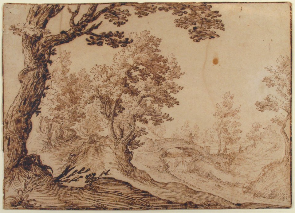 Landscape MET X785