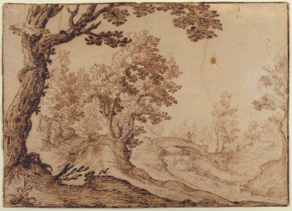 Landscape MET X785