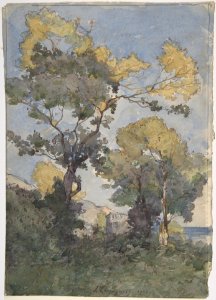 Landscape MET DP806747