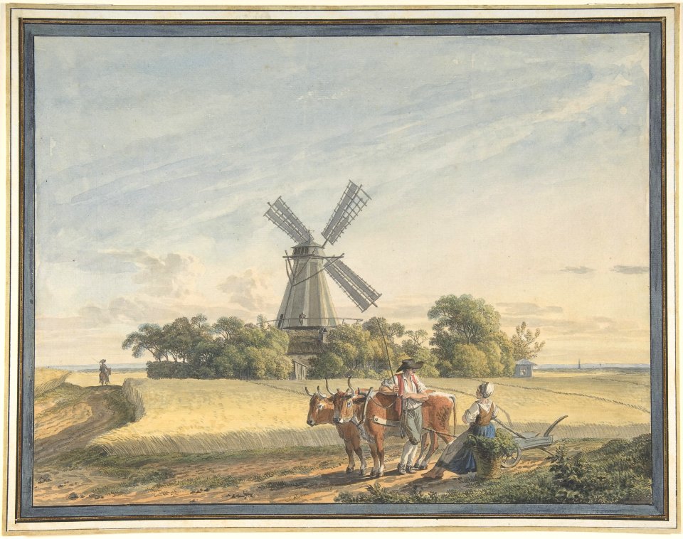 Landscape MET DP804356