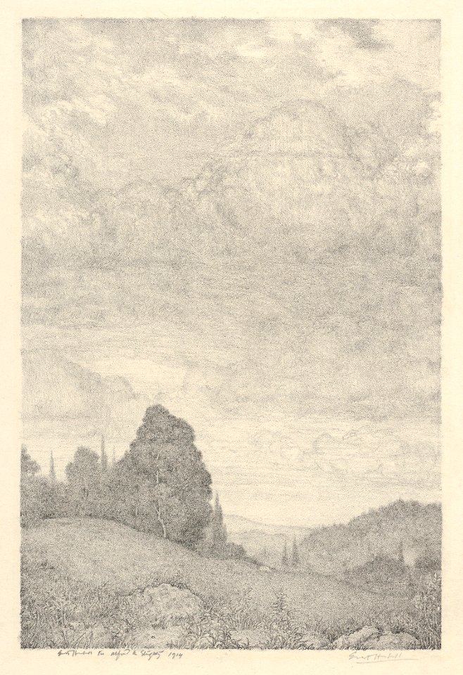 Landscape MET DP845709