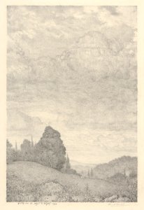 Landscape MET DP845709