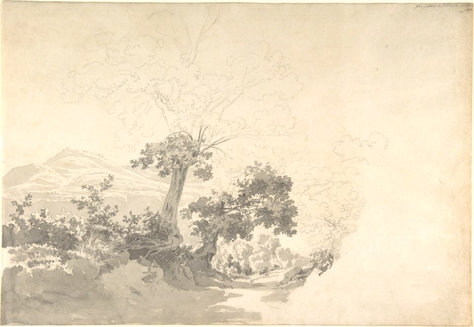 Landscape near Albano and Pallazole MET DP804015