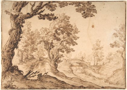 Landscape MET DP807836