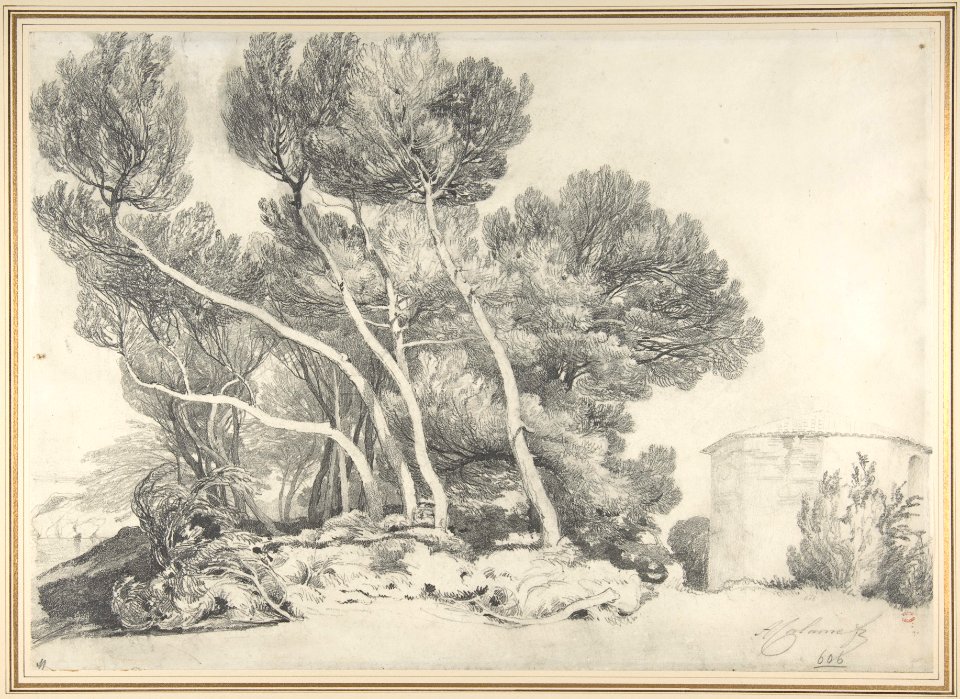 Landscape MET DP804305