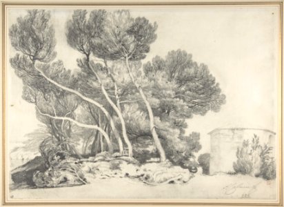Landscape MET DP804305