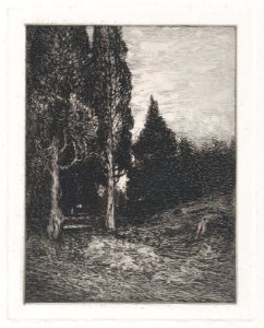 Landscape MET DP875373