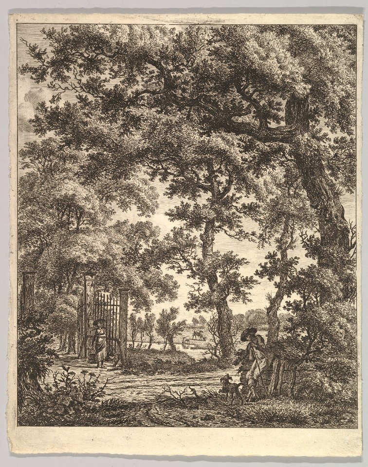 Landscape MET DP821176