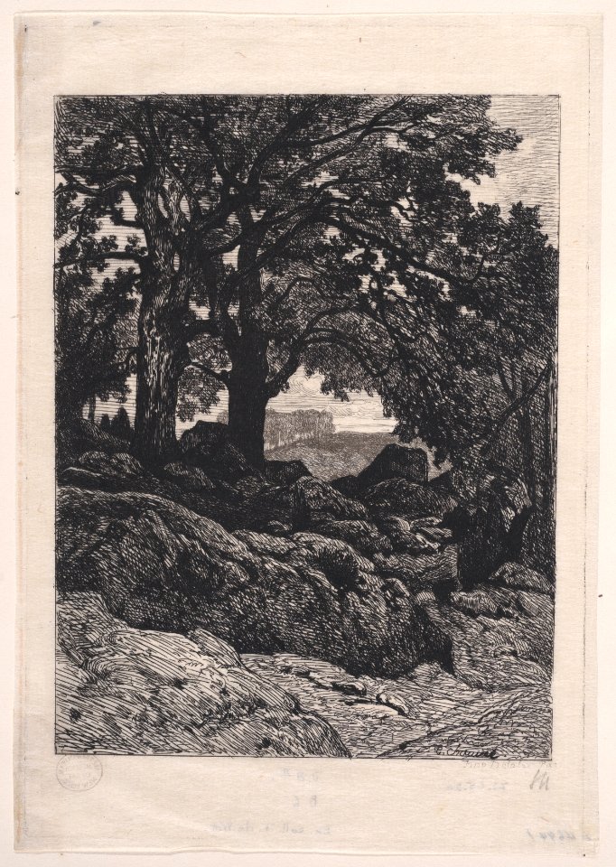 Landscape with Rocks and Trees Met DP889801