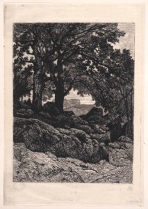 Landscape with Rocks and Trees Met DP889801