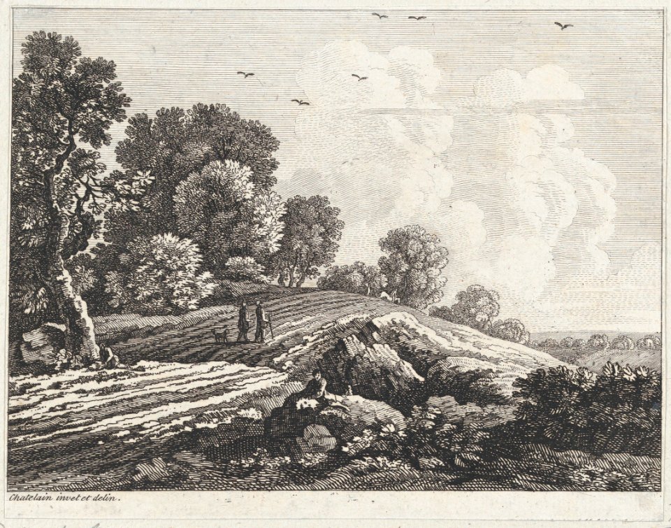 Landscape MET DP877025