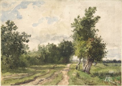 Landscape MET DP808407