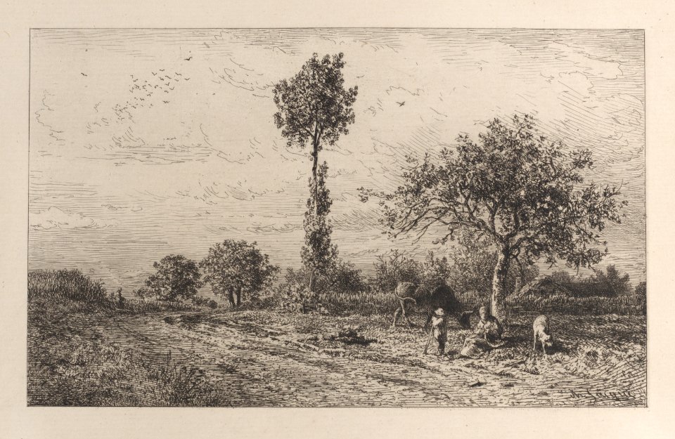 Landscape Met DP887004